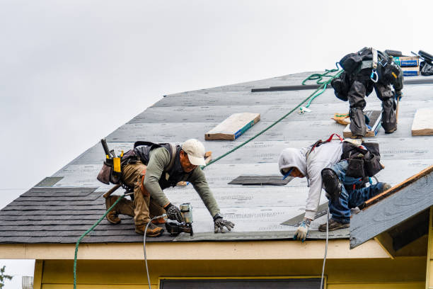 Professional Roof Repair technician working in Imler, PA